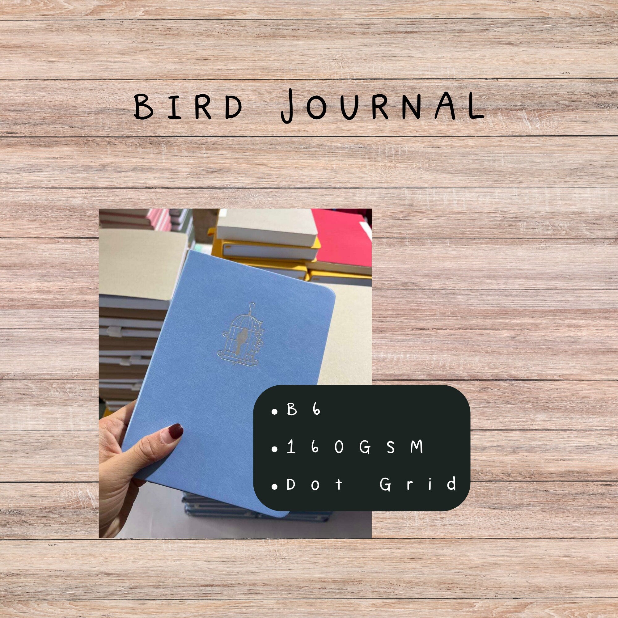 B6 Dot Grid Journal: Light Blue Vegan Leather with Silver Foil