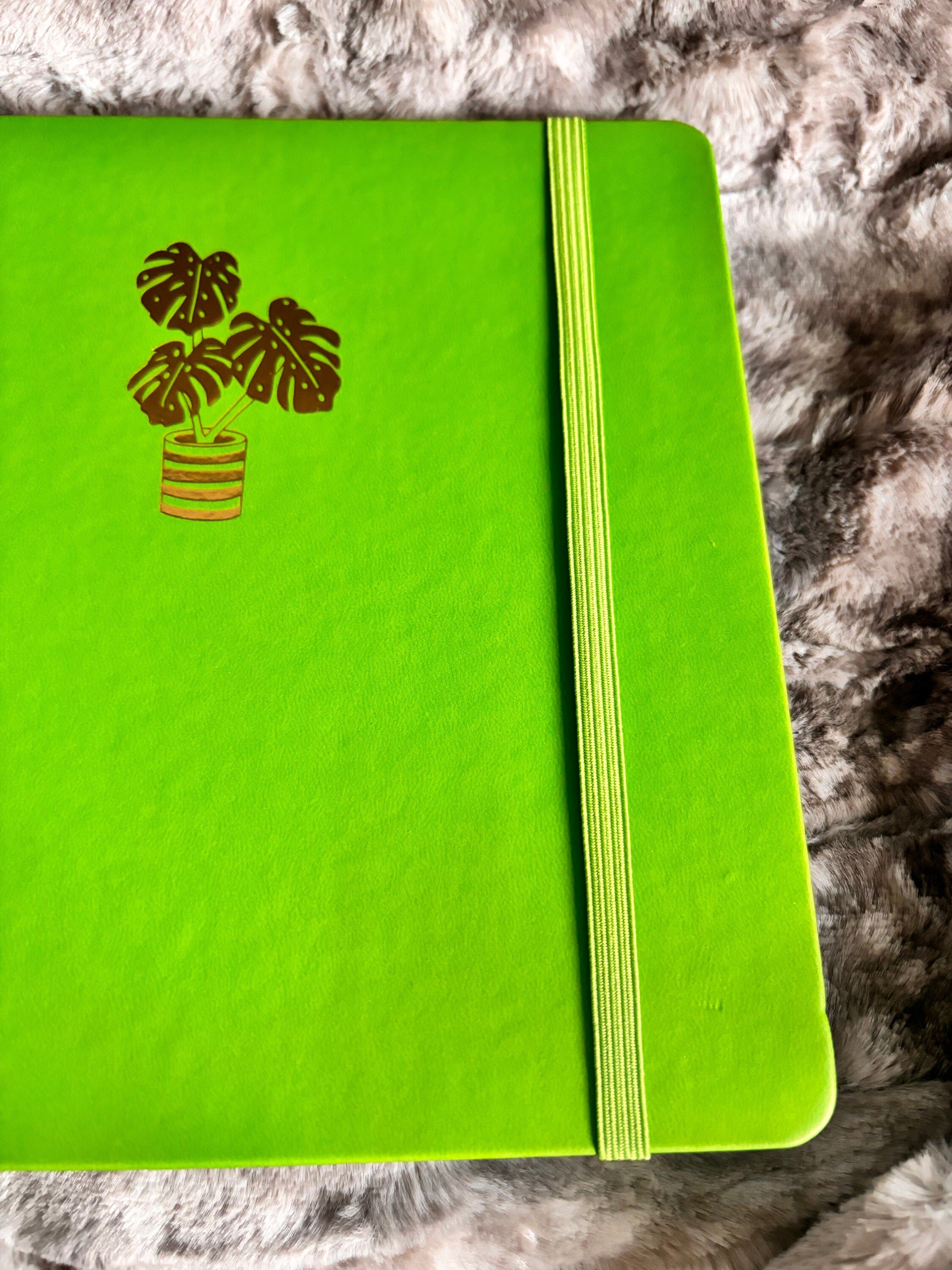 Monstera Dot Grid Journal: Botanical Sketchbook, 160gsm