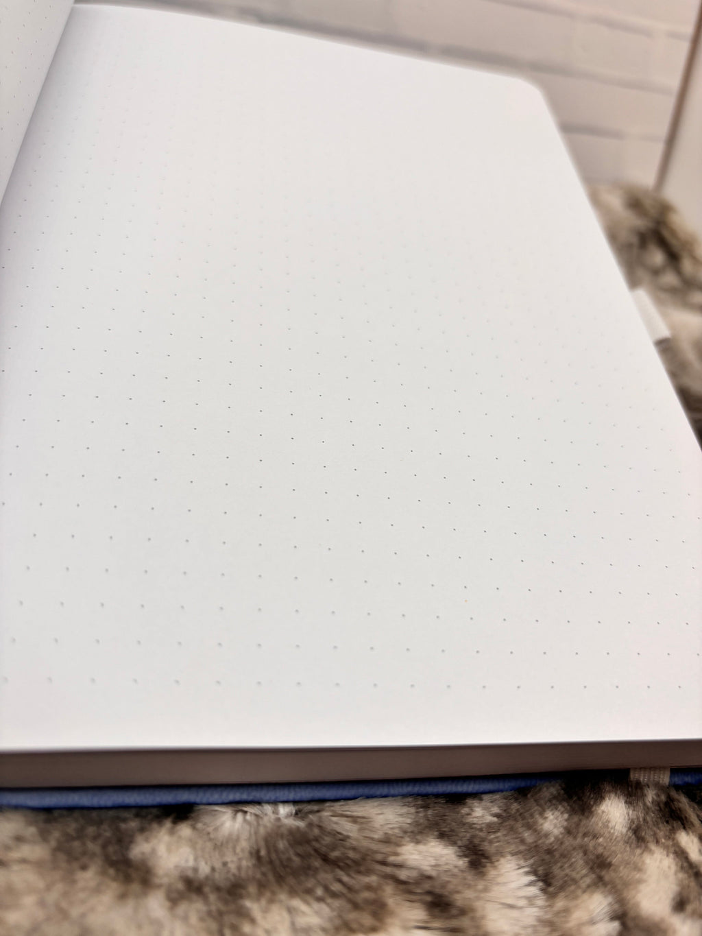 B6 Dot Grid Journal: Light Blue Vegan Leather with Silver Foil