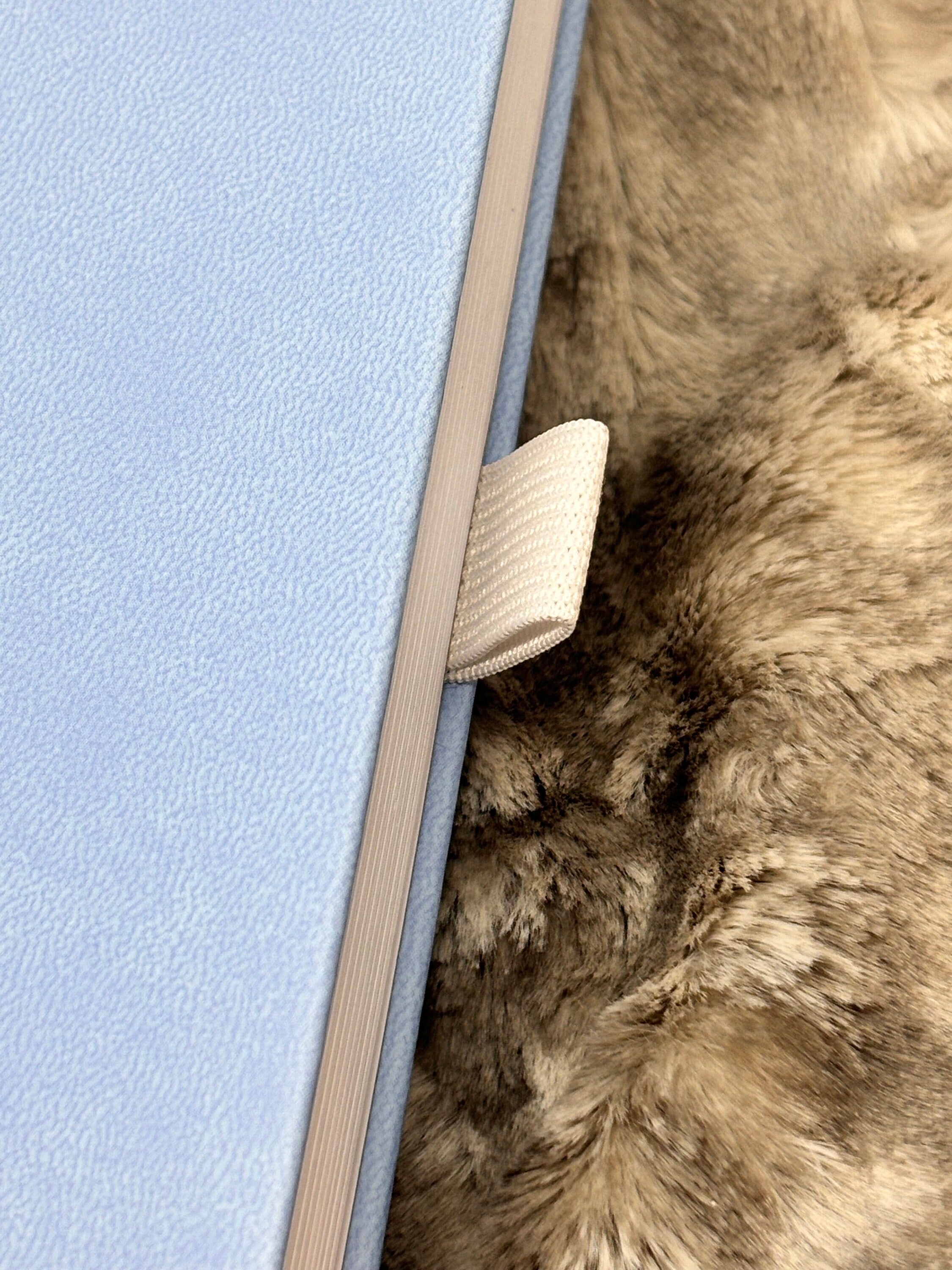 B6 Dot Grid Journal: Light Blue Vegan Leather with Silver Foil