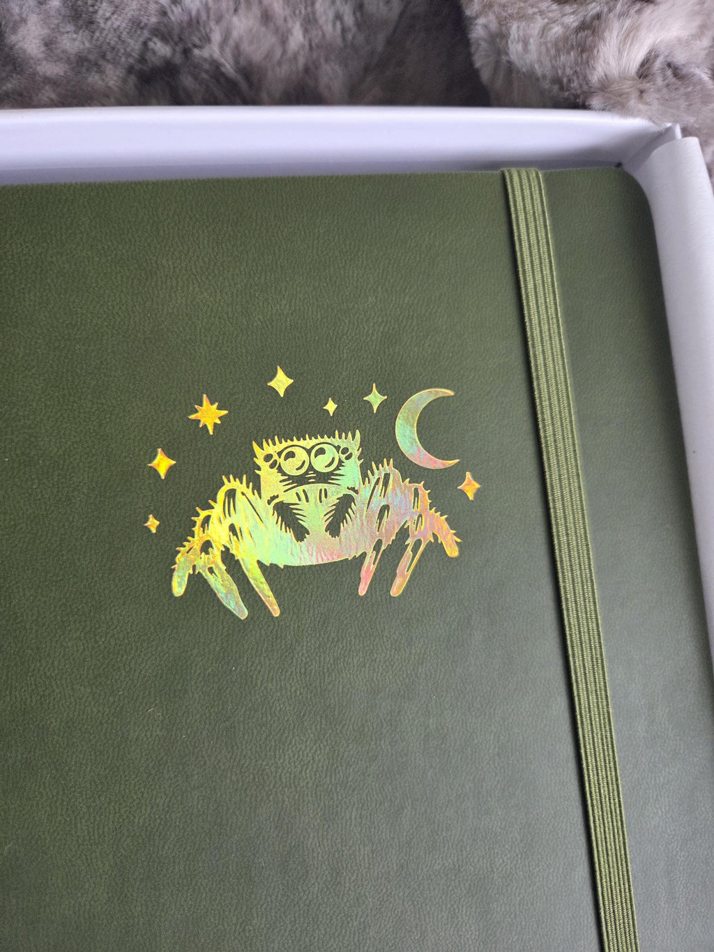 Jumping Spider Journal: Vegan Leather A5 Dot Grid Notebook